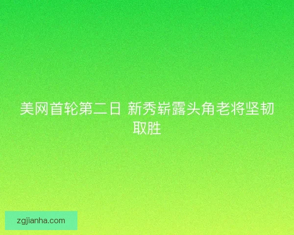 美网首轮第二日 新秀崭露头角老将坚韧取胜