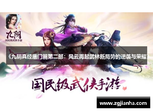 《九阴真经唐门篇第二部：风云再起武林新局势的逆袭与荣耀》