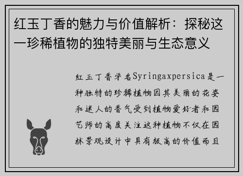 红玉丁香的魅力与价值解析:探秘这一珍稀植物的独特美丽与生态意义